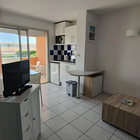 Bord De - Climatisation, Balcon, Parking Et Piscine - Fr-1-801-3 Агд